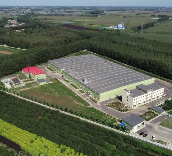 臺安九豐牧業有限公司